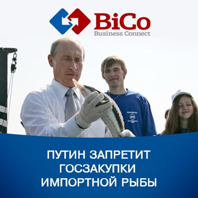 Путин поручил запретить госзакупки импортной рыбы - bicotender.ru