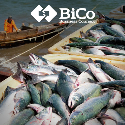 Росрыболовство предлагает ограничить госзакупки импортной рыбы - подробности на bicotender.ru