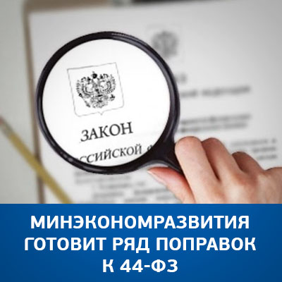 Минэкономразвития готовит ряд поправок к 44-ФЗ - bicotender.ru